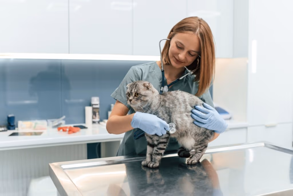 Conheça as plantas consideradas tóxicas para cães e gatos