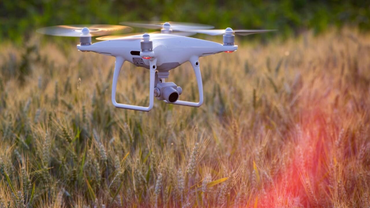 Arqueólogos encontram cidade perdida na Floresta Amazônica utilizando tecnologia de laser que atravessa a vegetação