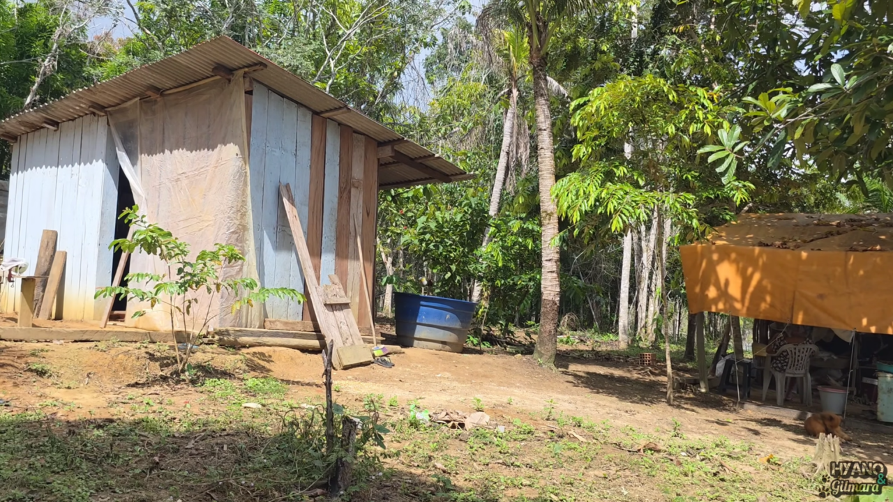 Homem de 83 anos mora isolado no interior e estilo de vida impressiona