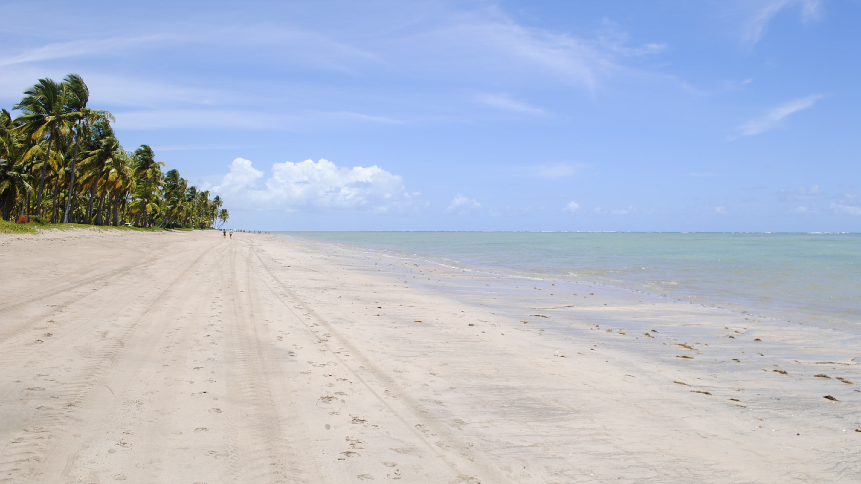Águas cristalinas e selo internacional há 5 anos: a praia nordestina que virou referência mundial em turismo