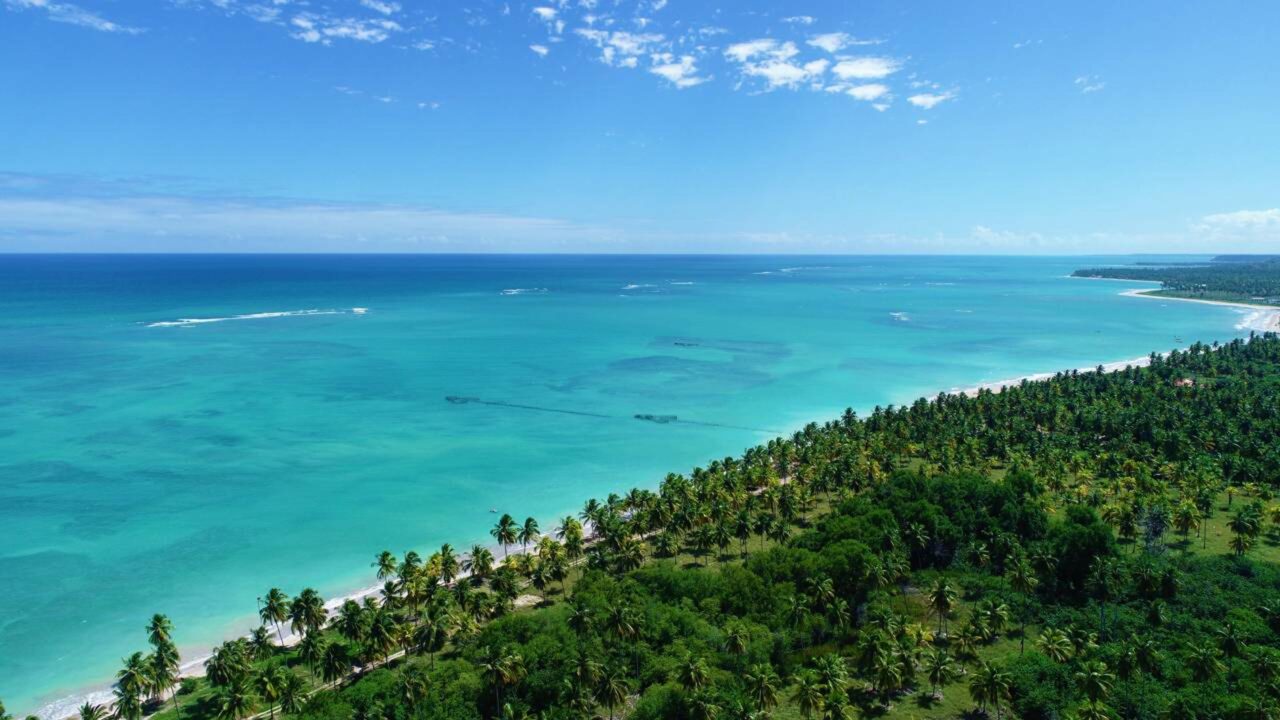 O vilarejo alagoano reconhecido como Caribe Brasileiro, onde o mar some pela manhã e revela piscinas naturais sobre uma areia branca como a neve