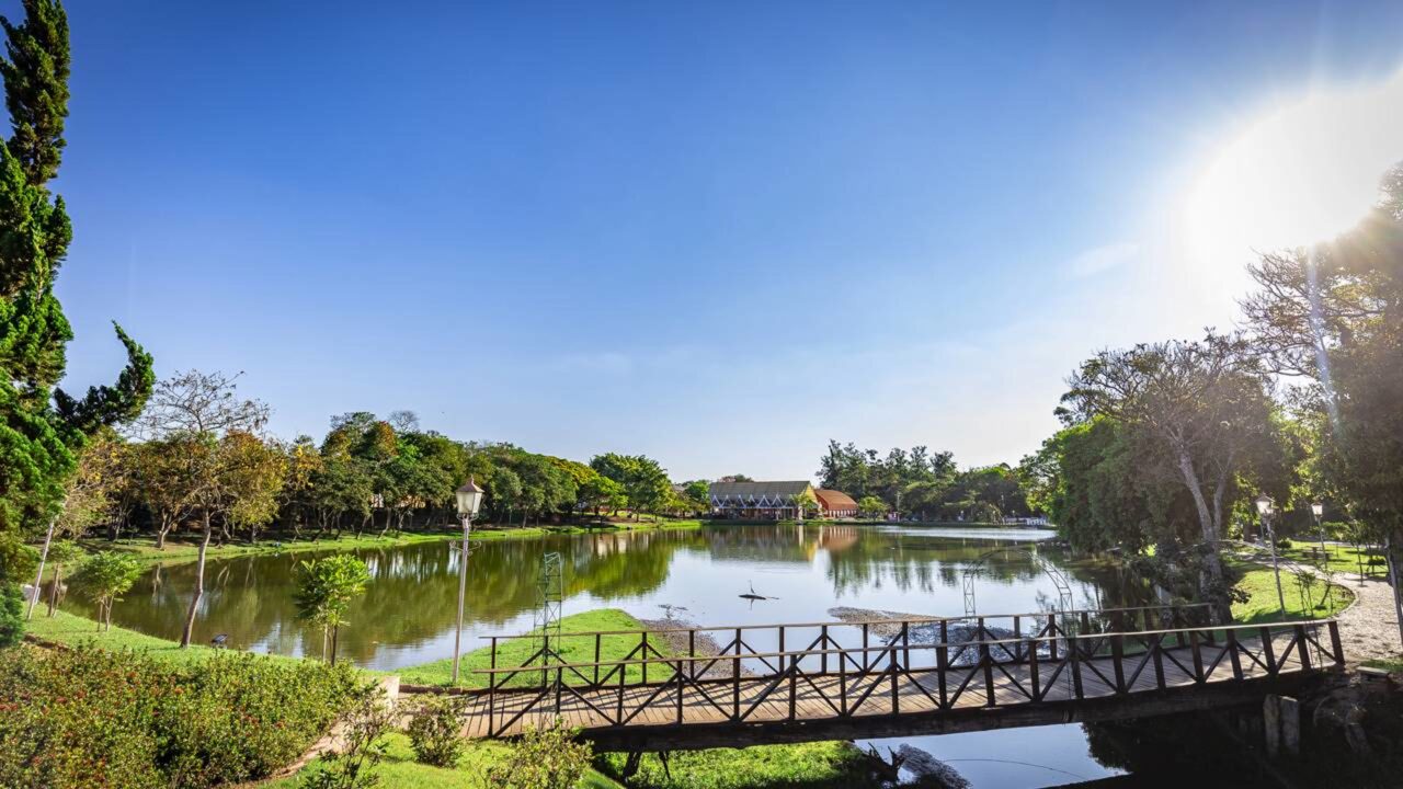 500 famílias holandesas fundaram uma cidade com moinhos e tulipas no interior de São Paulo que abriga uma vida com segurança e qualidade de vida europeia