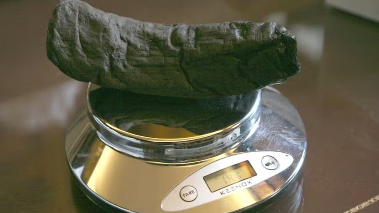 Inteligência Artificial consegue ler pergaminho carbonizado por vulcão há 2 mil anos e revela segredos inéditos