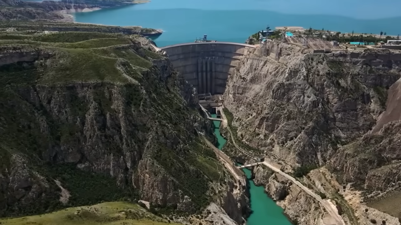 Quando 11 castores fizeram mais que engenheiros na Escócia