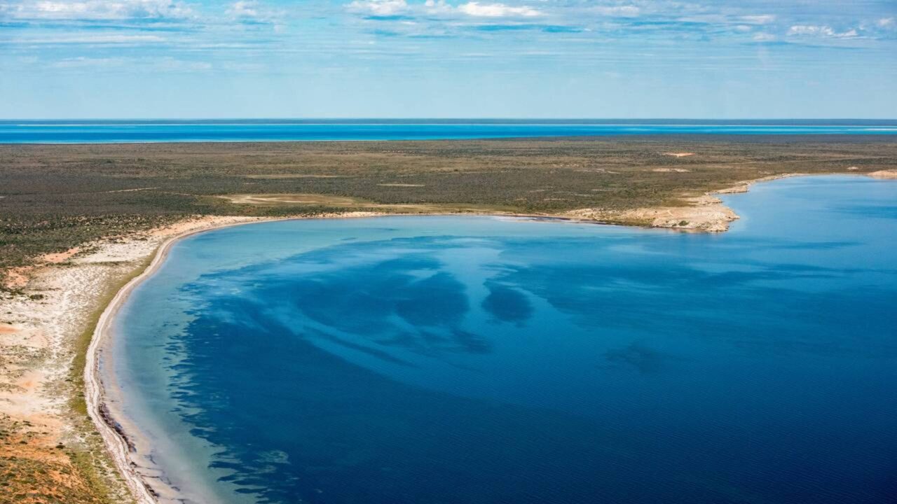 "Aliança" de micróbios em Shark Bay reescreve a origem de tudo