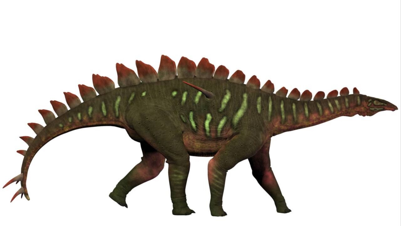 Descoberta de ovos de dinossauro em Guadalajara pode reescrever a história dos Titanossauros