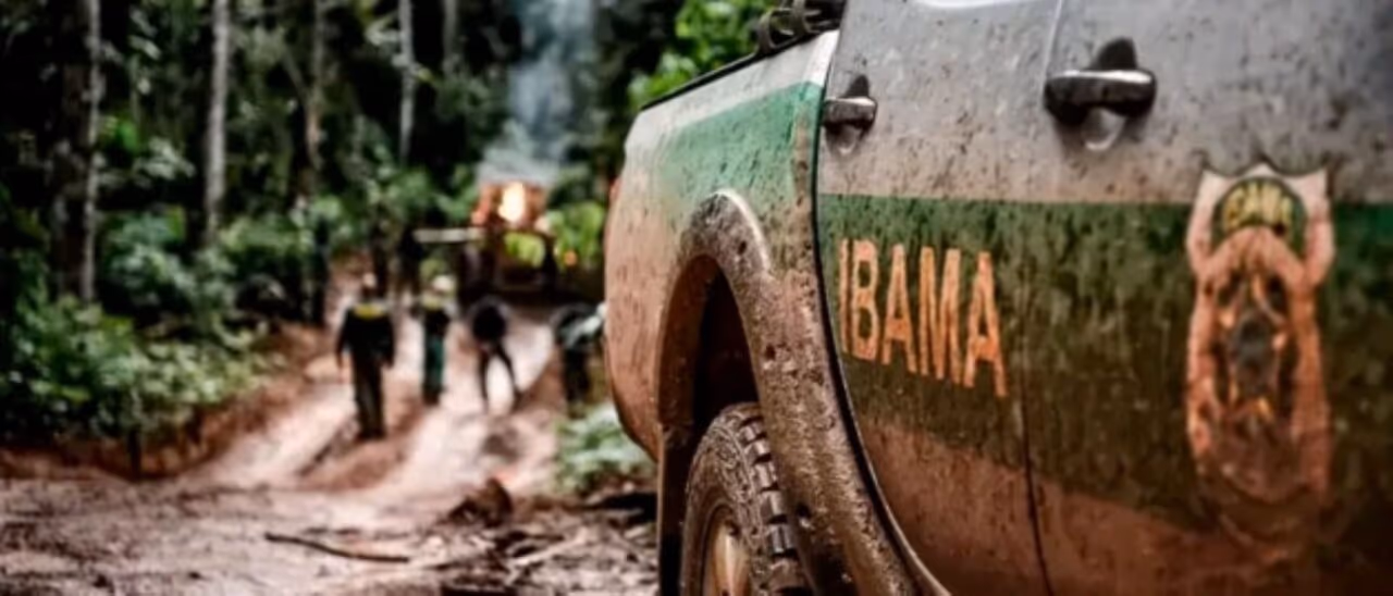Câmara aprova projeto que restringe poder do Ibama