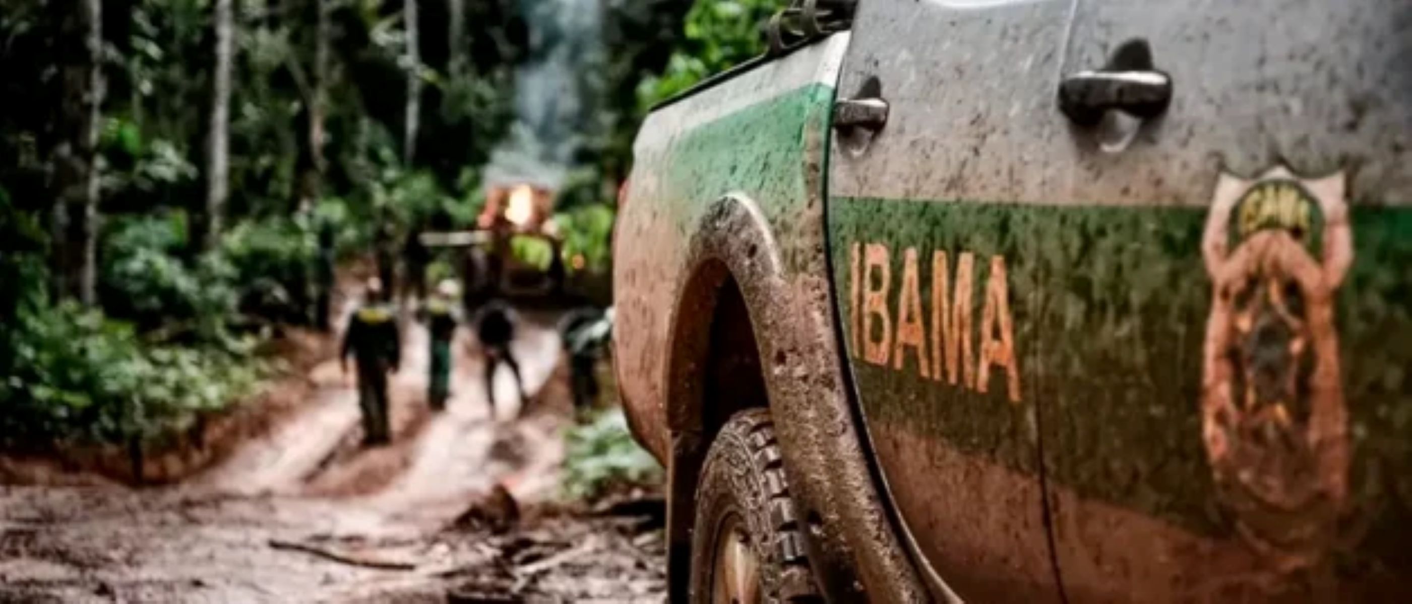 Câmara aprova projeto que restringe poder do Ibama