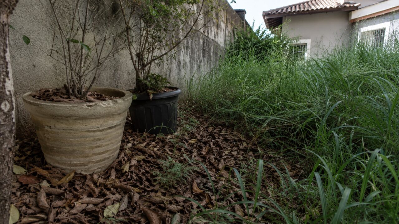 Cobras no jardim podem estar escondidas nestes 11 lugares e pouca gente percebe