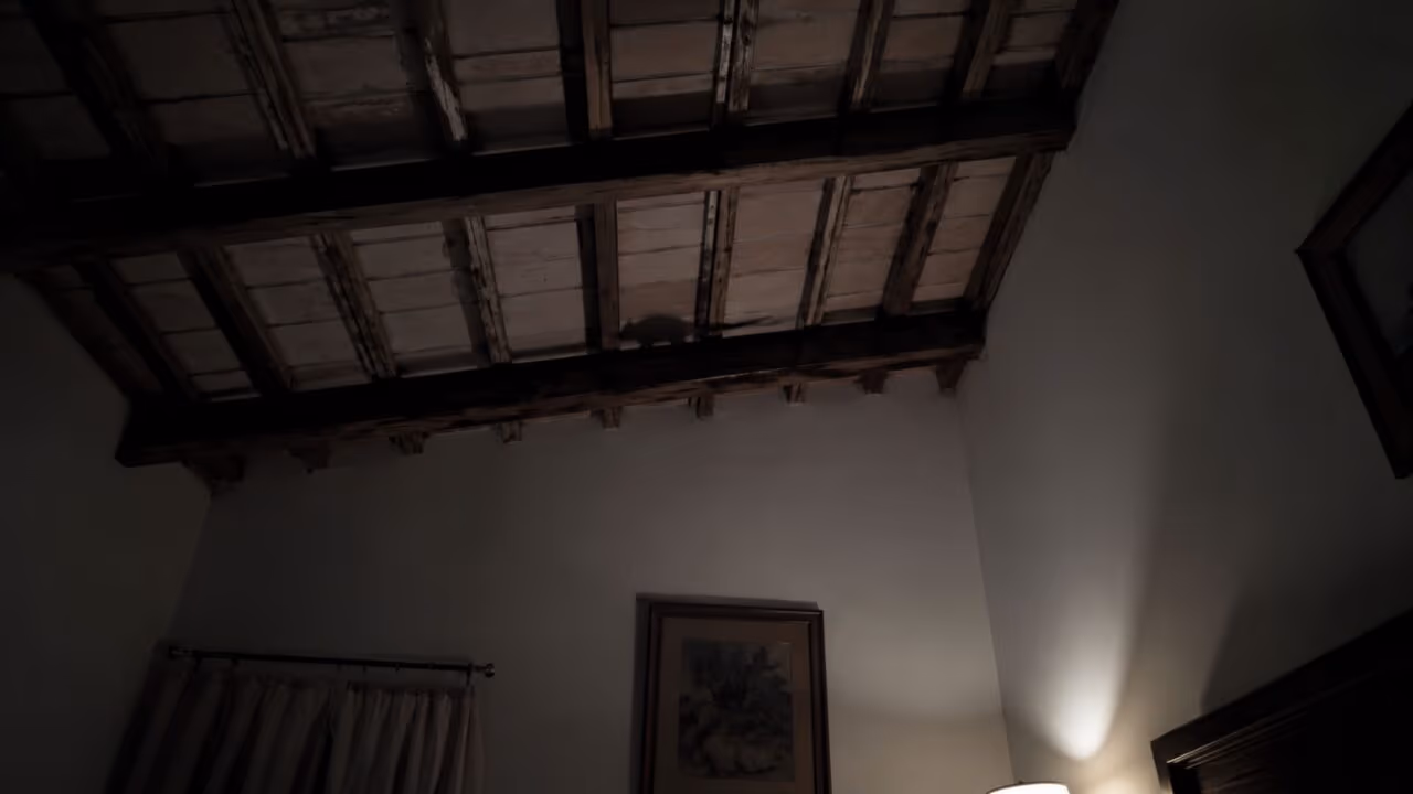 O barulho no forro durante a noite pode ser sinal de ratos andando sobre sua cabeça