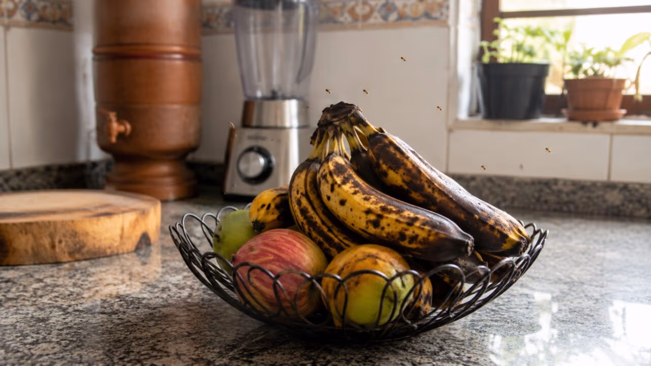As moscas de fruta aparecem do nada na cozinha e o motivo pode estar na sua fruteira