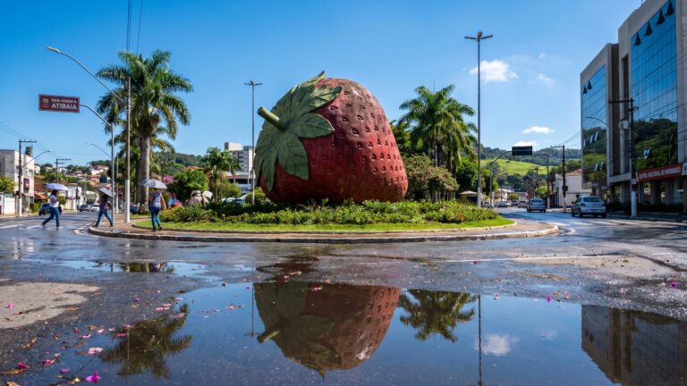 Imagem Item