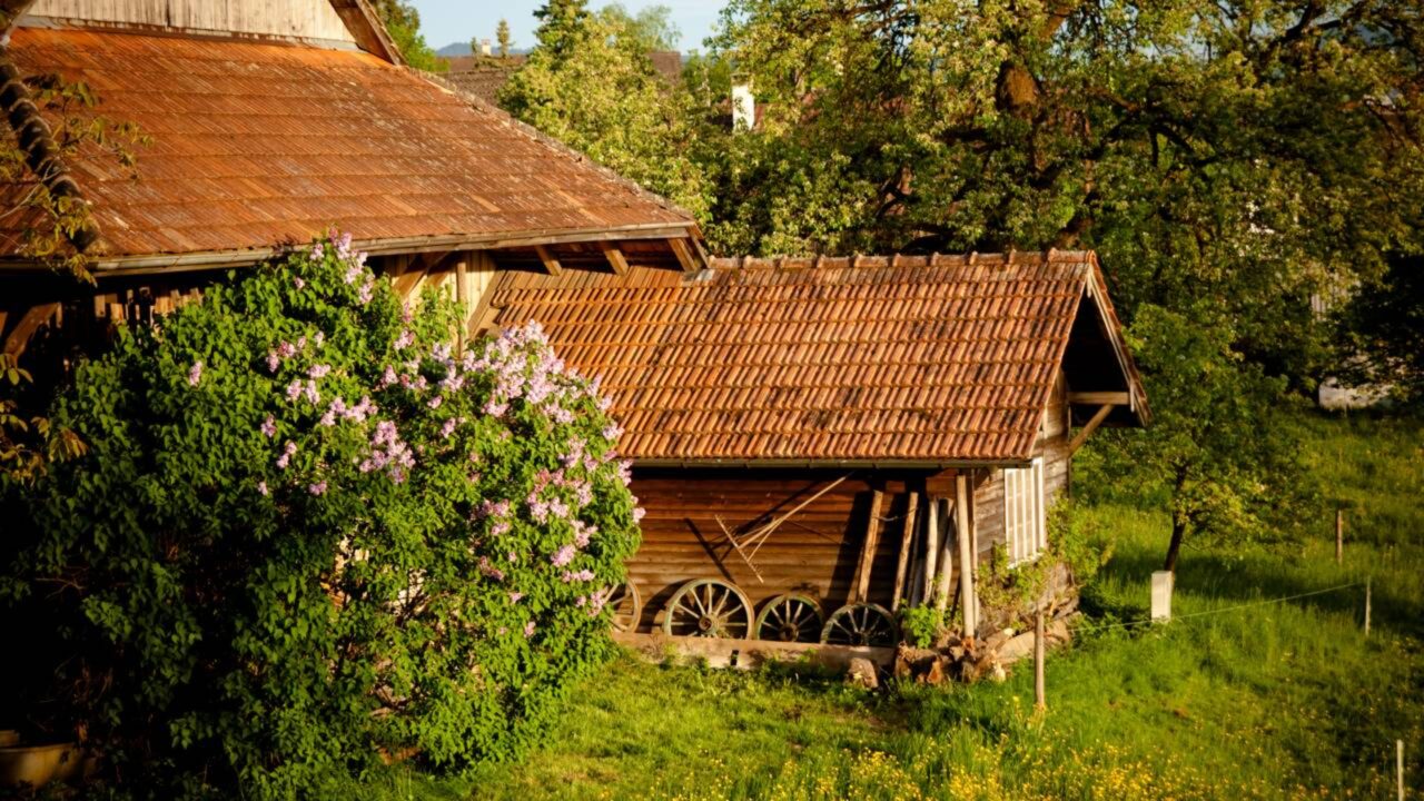 Advogado explica que imóvel rural pode ser regularizado, mesmo sem ter a escritura