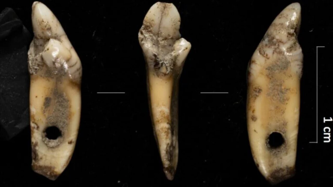 Arqueólogos descobrem caverna pré-histórica de montanha repleta de misterioso mineral verde