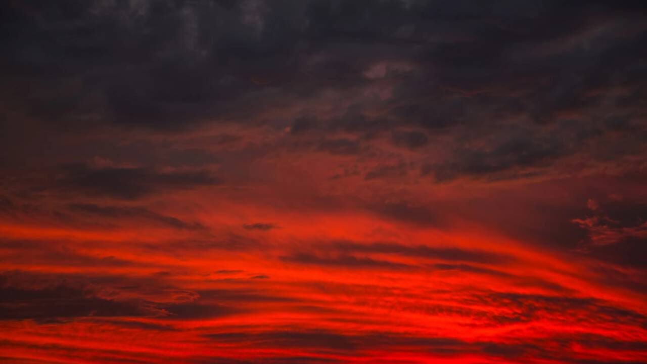 Árvores do Japão revelam tempestade solar de 'céu vermelho' de 800 anos