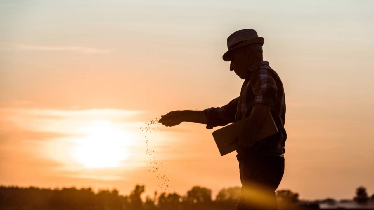 Austríaco desempregado de 57 anos vai começar um aprendizado como agricultor após 40 anos