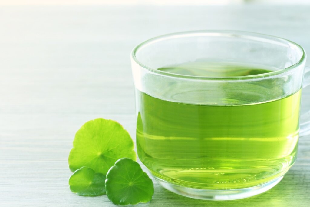 Receitas de chá para dormir: 9 opções naturais para relaxar