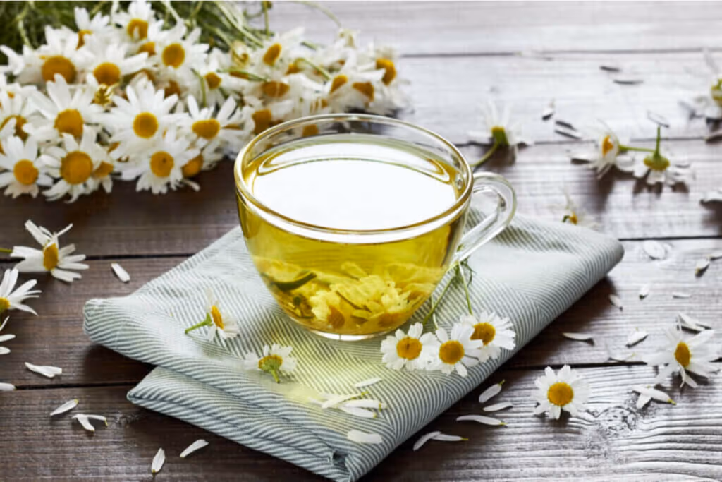 Dia Internacional do Chá: 7 opções para ajudar a saúde digestiva