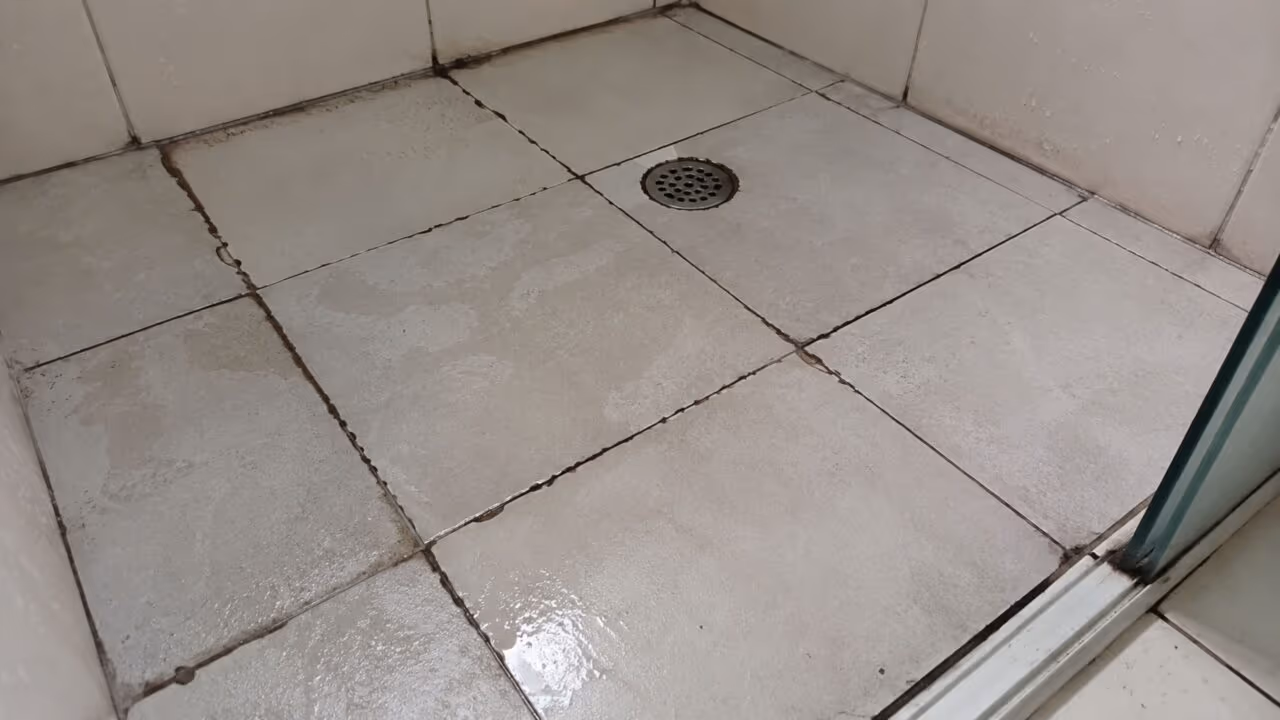 Rejunte encardido ou soltando: o aviso urgente de que o banheiro pode ter problema maior