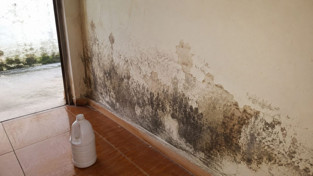 Passar água sanitária no mofo: realmente resolve ou só esconde o problema?