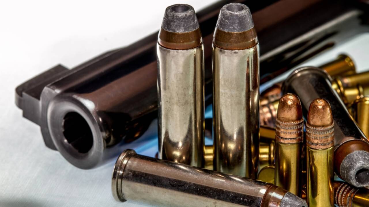 De advogados a professores Vejas as profissões civis que têm autorização para porte de arma