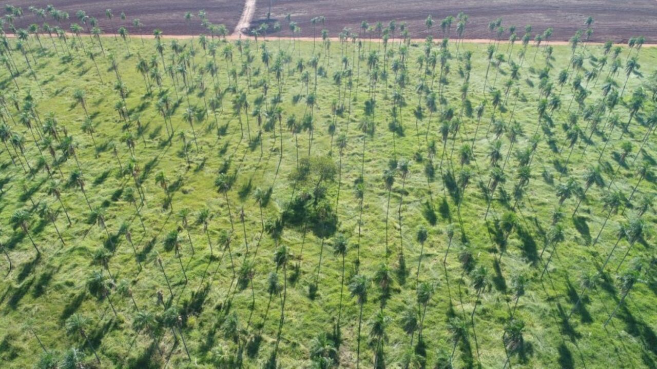 SP orienta produtores rurais a lucrar com conformidade ambiental