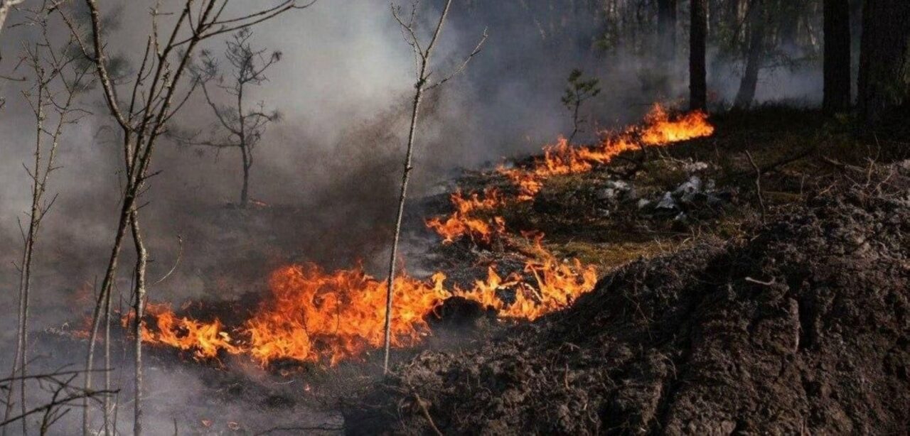 Ataque russo provoca incêndio em Chernobyl