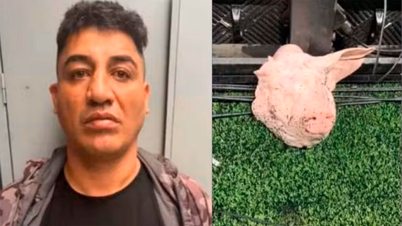 Corintiano que jogou cabeça de porco em gramado é preso