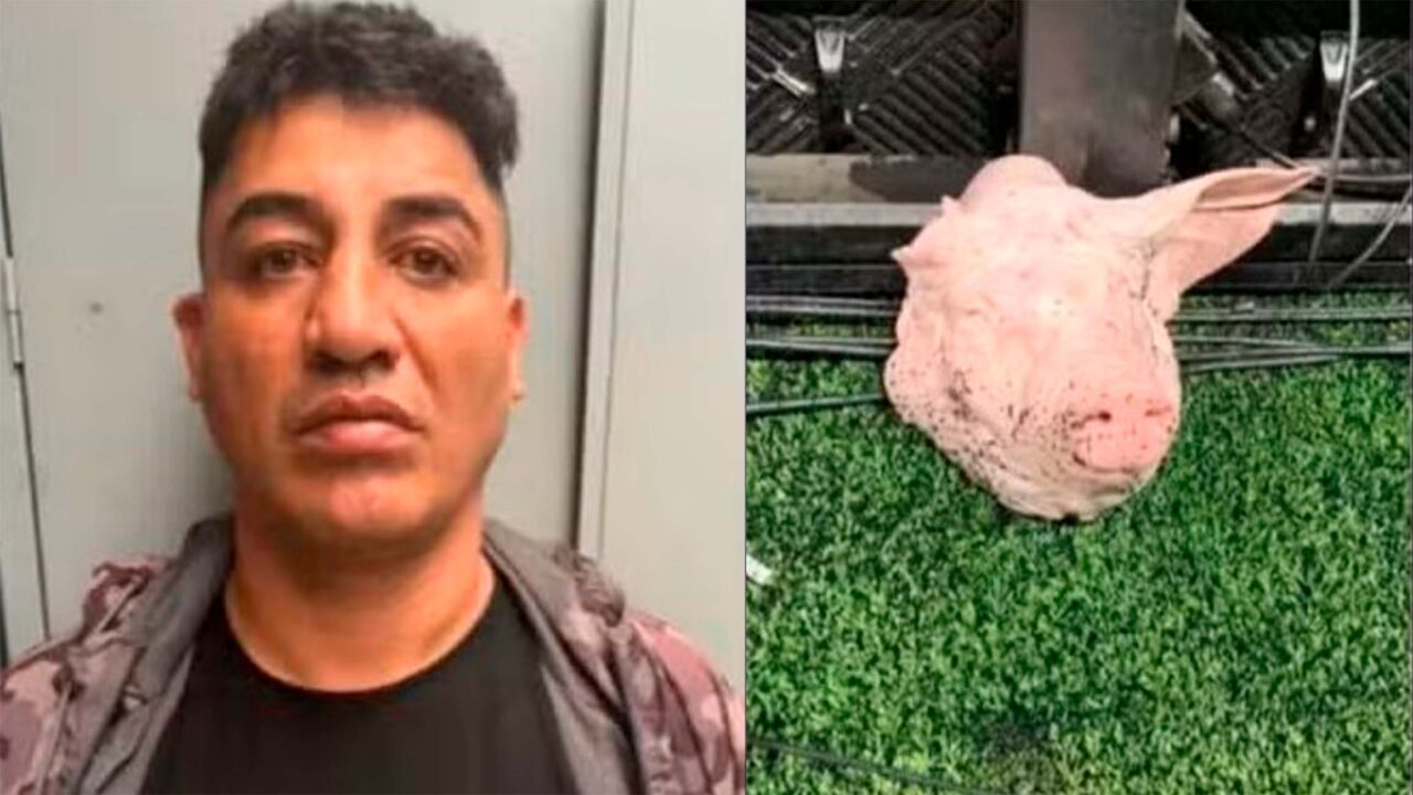 Corintiano que jogou cabeça de porco em gramado é preso