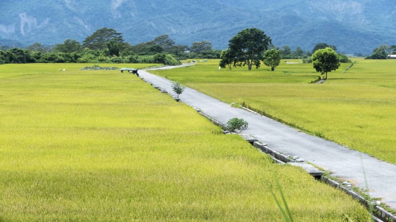 Terras sem dono conhecido começam a ser registadas a favor do Estado