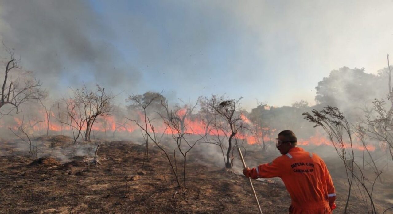 Incêndios ameaçam SP entre junho e outubro