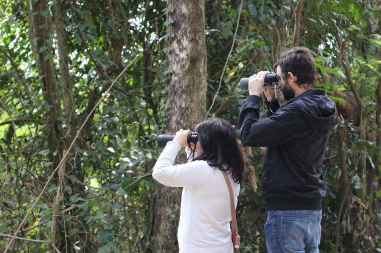 Parques de SP abrem portas para observação de aves nativas