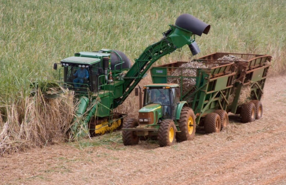 Agronegócio de SP acumula superávit de US$ 6,45 bi em 2026