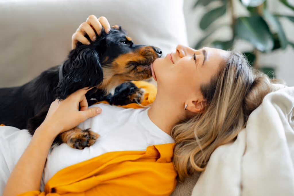 Os Vingadores: 10 nomes para cachorros inspirados nos personagens 