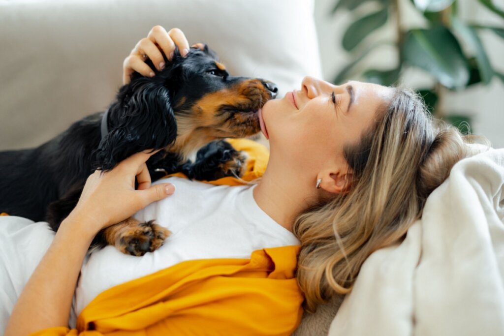 Os Vingadores: 10 nomes para cachorros inspirados nos personagens 