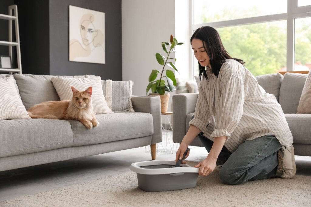 5 motivos para investir na areia de mandioca para gatos 