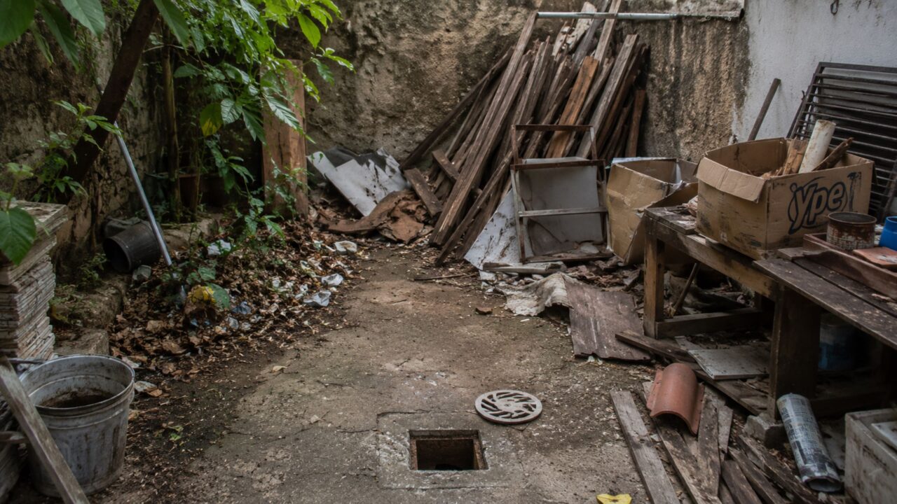 O que atrai escorpiões urbanos para dentro de casa e muita gente só percebe tarde demais