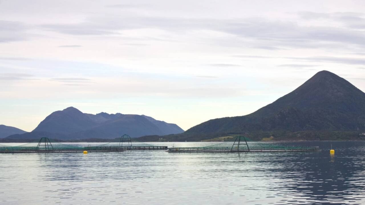 Noruega está afogando seus fiordes em "esgoto de salmão"