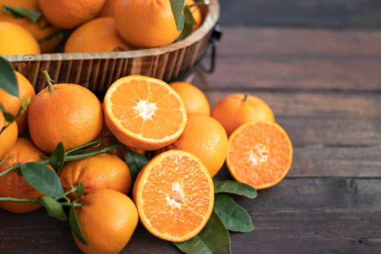 Imunidade: veja alimentos e bebidas naturais para fortalecer o organismo 