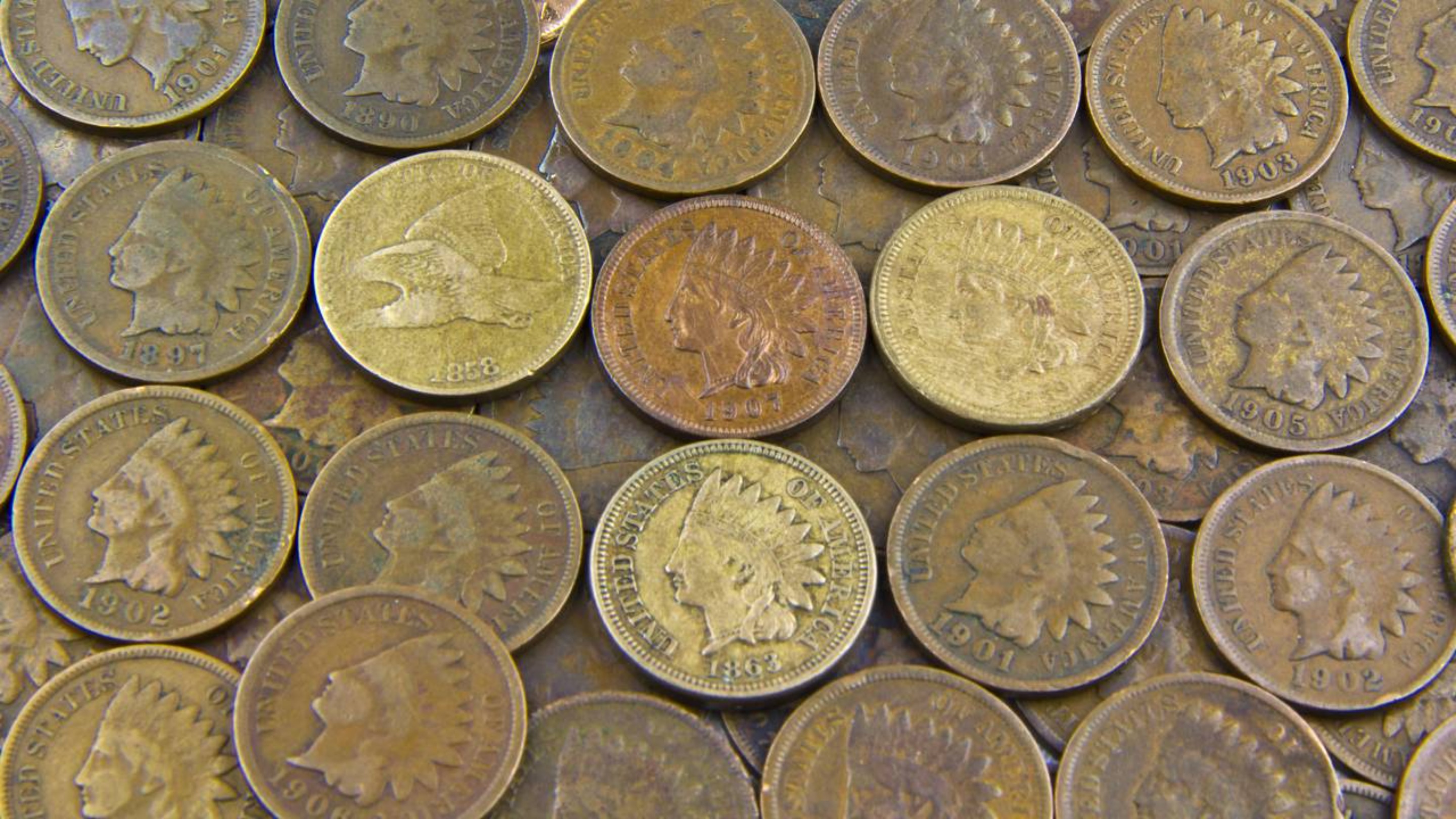 Moeda rara é vendida por valor surreal de $64 mil dólares