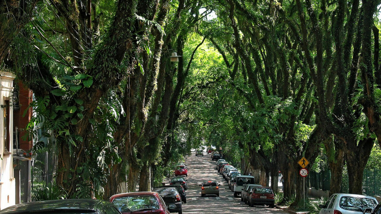 Parece cenário de filme, mas é no Brasil: a rua mais bonita do mundo, com 500 metros e 156 árvores que formam um túnel verde em uma capital