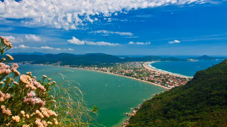 Imagem Item
