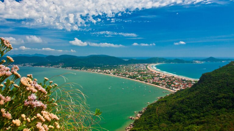 Imagem Item