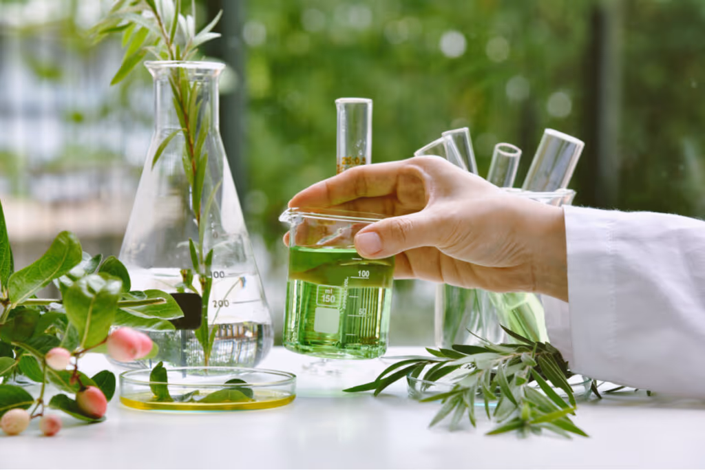 Plantas medicinais e fitoterápicos: veja os benefícios para a saúde