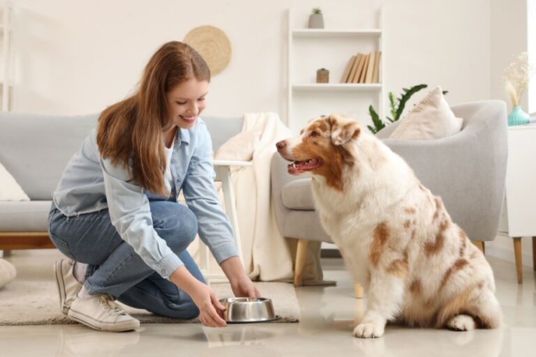 6 dicas para o cachorro comer mais devagar 