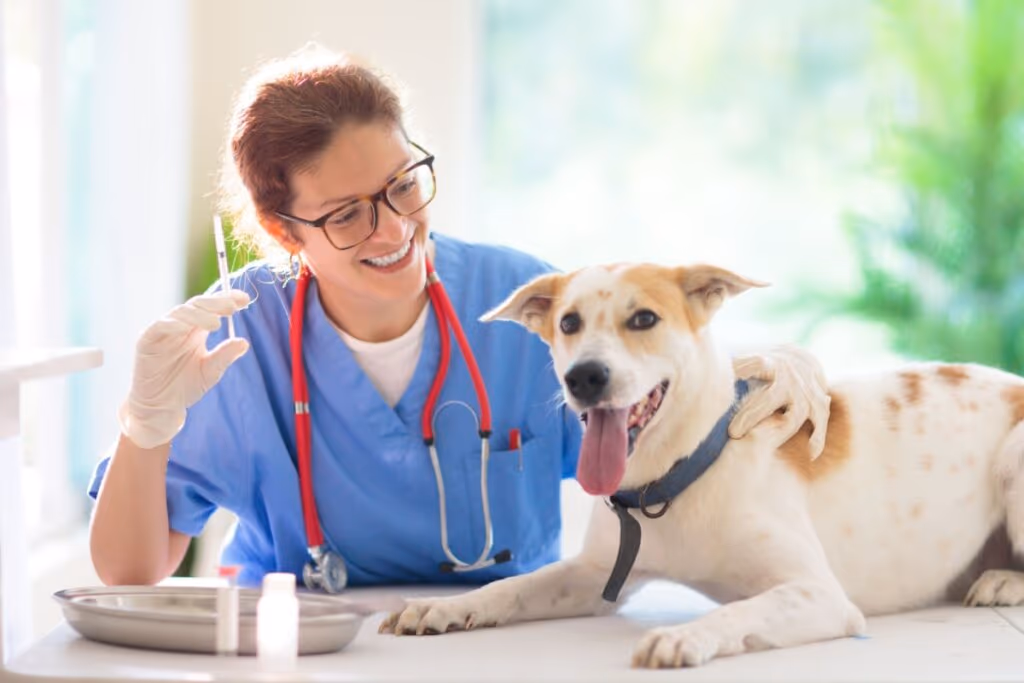 Gripe em cachorro: veja os sintomas e as formas de prevenção