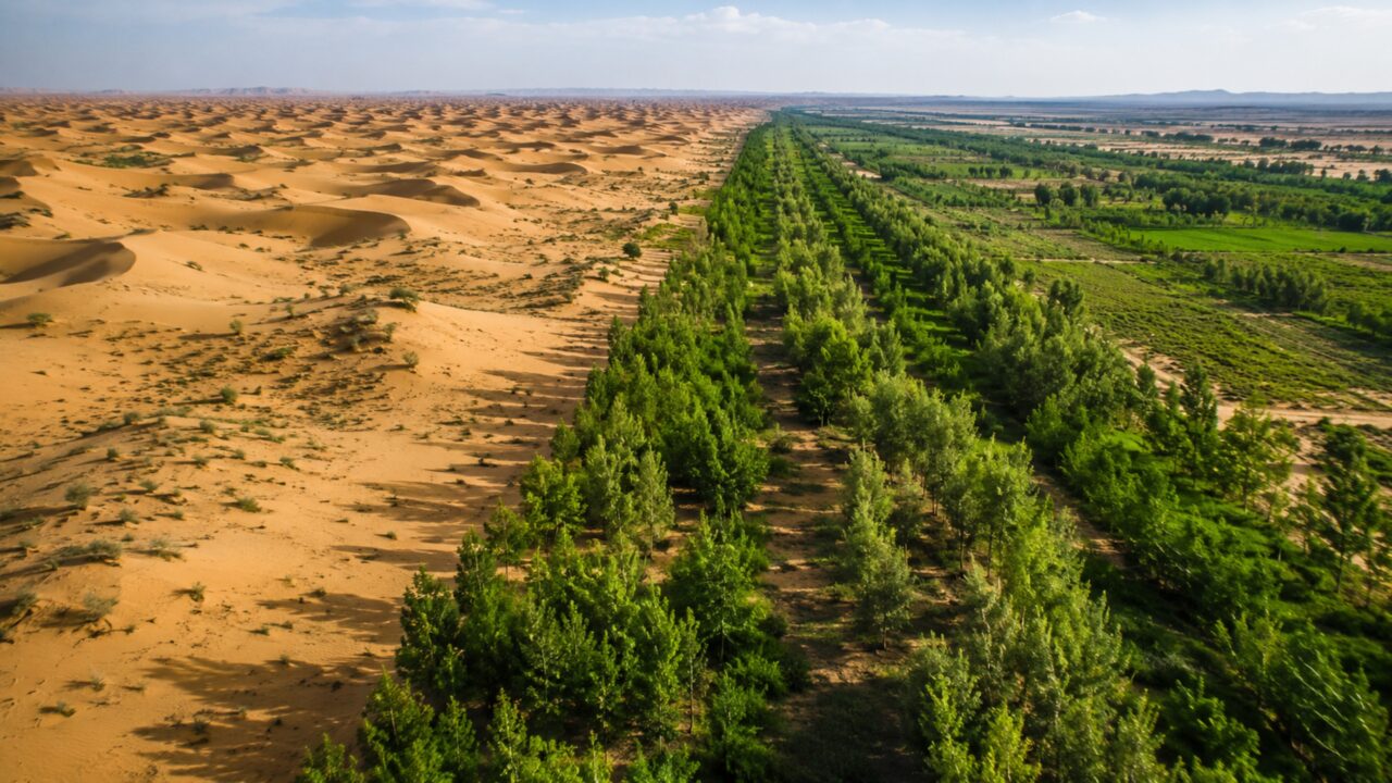 A China está plantando um muro verde de 4.500 quilômetros há 47 anos para deter o avanço do deserto de Gobi