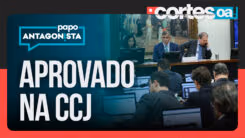 vídeo home