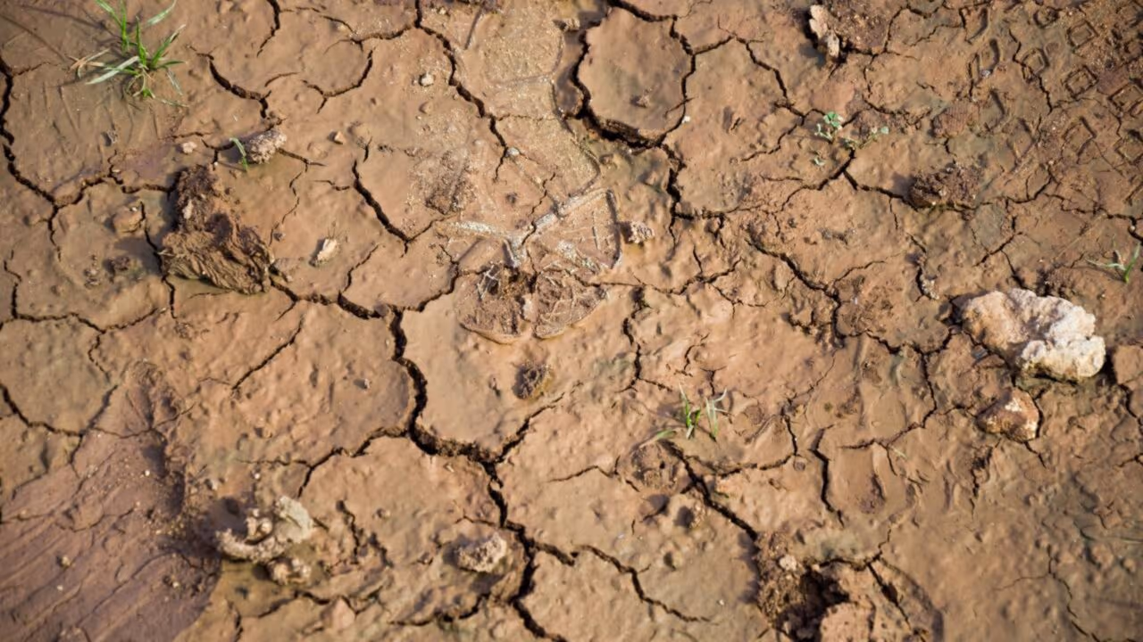 Alerta do Inmet para os riscos de baixa umidade no Centro-Oeste e Sudeste no dia 08