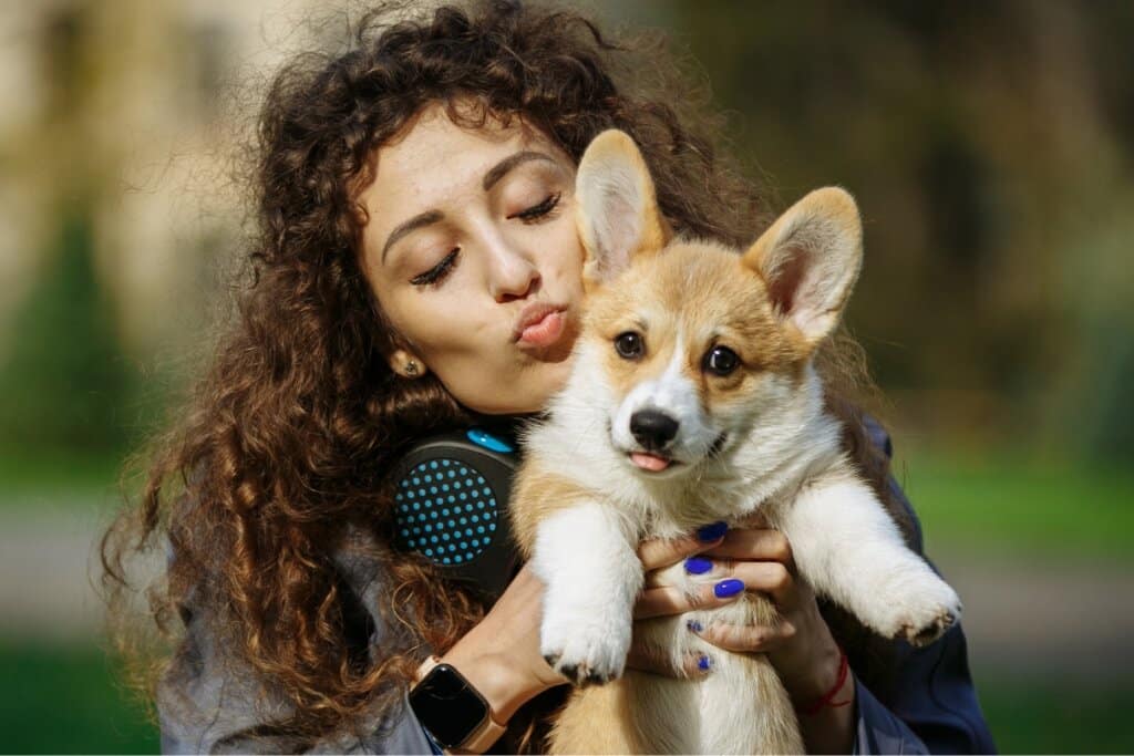 A realidade da adoção: pesquisa inédita revela como idade, cor e porte definem o destino de animais em abrigos no Brasil